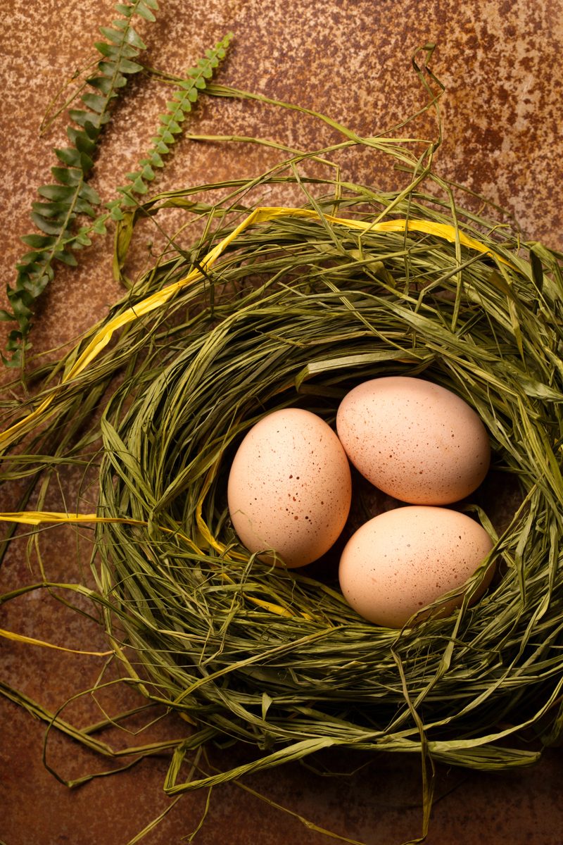 Eggs dyed brown with onion husks in a nest of grass