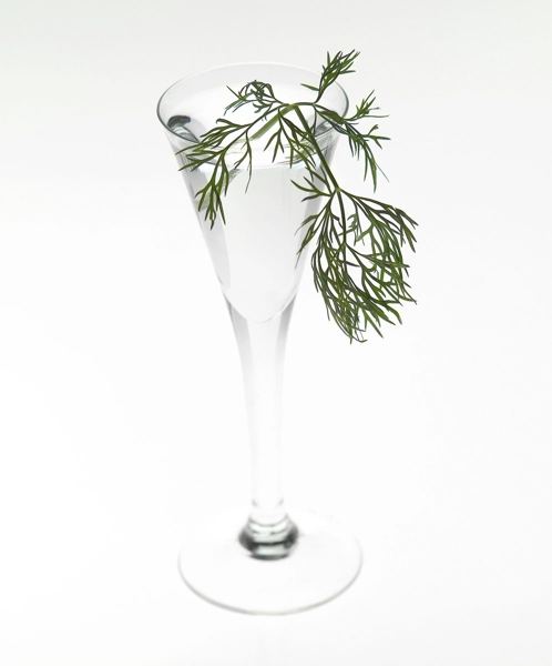 Glass of aquavit with a sprig of dill